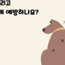 대신동물병원 이미지