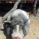 창수중학교 이미지