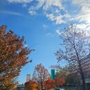 유람선터미널상가번영회 | 여의도 한강공원 맛집은 평일 낮 강바람 맞으며 먹는 편의점 라면(2주차장 이용)