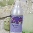 허브스토리 이미지