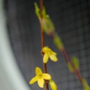 제제한의원 이미지