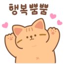 실버손모아 이미지