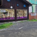 현대종합동물병원 | 대전동물병원추천/쌤아저씨 현대종합동물병원 과잉진료없는 동물병원 강아지 귓병 진료 후기