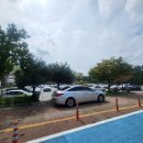 공주-34 | 가족뮤지컬 백설공주 34개월 아기랑 보고 온 후기 안산올림픽기념관