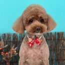 멍블리즈 이미지