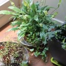 일공일(101) 이미지