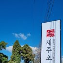 제주초가집 이미지