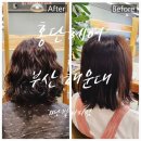 홍단 | 해운대미용실 홍단헤어 해운대중동점 손질 편하고 귀여운 단발히피펌 솔직 후기