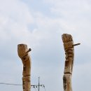 산청한의학박물관 이미지