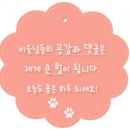 남곡리 양지석쇠불고기 이미지