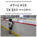 김포농협운양동지점 | [경기도/김포] '김포울브즈아이스하키' 운양동아이스링크에서 원데이 클래스 후기