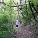 시골놀이터 이미지