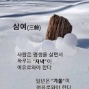 삼여 Daum카페