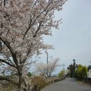 낭그늘 펜션 이미지