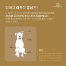 광명 24 아이디동물의료센터 이미지