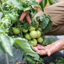 울진중앙농업협동조합 근남지점 이미지