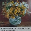 노사부