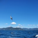 거제에서의하루 이미지