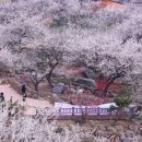 사람이 그리워서 홍 티스토리