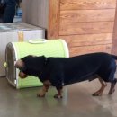 박영재 동물병원 이미지