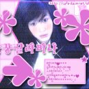 진아 Daum카페