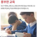 목포석현초등학교 이미지