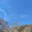 가양초교 정문 앞 이미지