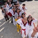 우리동네 하백 태권도 이미지