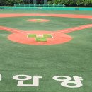 시민체육공원 인라인스케이트장 이미지