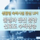 풀빌라 펜션 선호도 수직상승, 생활형 숙박시설 관심up! 이미지