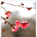 영각