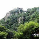 울진물회 이미지