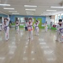 용인대 최고 태권도장 이미지