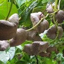 가을농장 이미지