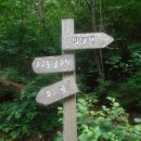 왕피천생태탐방로 이미지