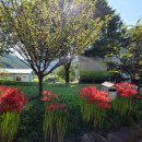 삼방초병설유치원 이미지