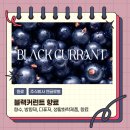주식회사엔글로벌 네이버블로그