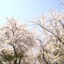 김종필농장 이미지