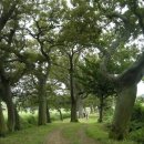 안좌 대리 우실 이미지