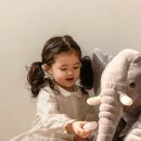 코끼리세탁 이미지