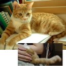 은성약국 이미지