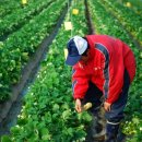 도전농장 이미지