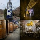 청도 | 청도 와인터널 방문 후기｜입장료·주차·와인구매 후기까지 총정리