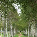 한강시민공원 이미지