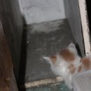 이삭토스트(강원대점) 이미지