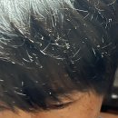 예노카페 | 페루 | 나스카 → 아레키파(Arequipa) 야간 버스 도착 후 아레키파 시내 구경·전통 음식 즐기기