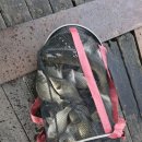 산들 낚시터 이미지