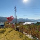 수니앤팬션 이미지