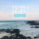 노을이쁜민박 | 해외 대신 제주! 여름방학 아이랑 제주 한달살기 숙소는 미스터멘션으로 찾은 [애월 나뭇잎]