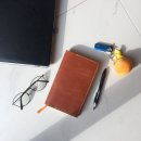 위미동백군락 이미지